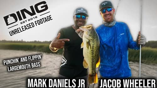 Dinging Largemouth Bass in Heavy Cover - Flipping & Punching with MDJ