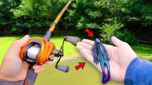 Catching GIANT Bass in FLOODED River (Summer Fishing)