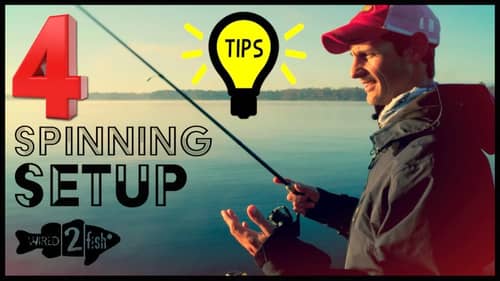 Bass Fishing with Spinning Gear | 4 Tips to Raise Performance