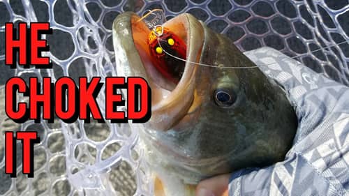 How To Fish Shallow Water Crankbaits