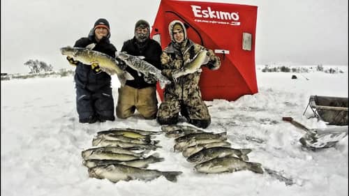 Catching Huge ICE CATS - BEST ICE FISHING DAY EVER! Unreal!