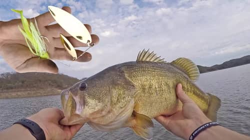 Slow Fishing Big Spinnerbaits for GIANT Winter Bass