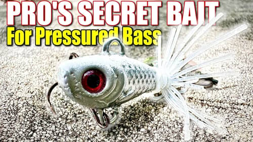 Secret Pro Finesse Bait For Pressured Summer Bass