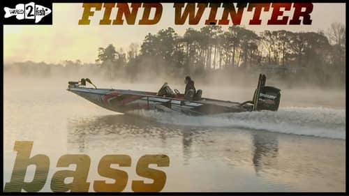 How to Find the Best Bass Fishing Spots in the Winter
