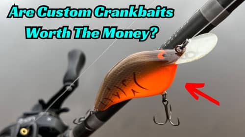 Should You Spend Big Bucks On Custom Crankbaits? You Might Be Throwing Your Money Away!
