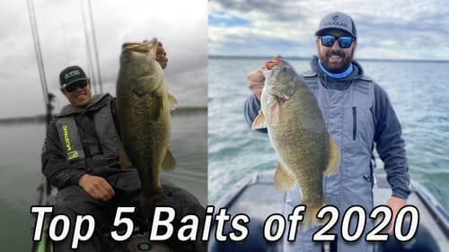Top 5 Baits of 2020 | Our Most Effective Baits of the 2020 Season