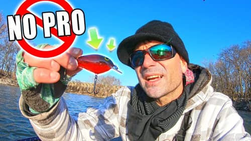 1 Crankbait NO PRO Will Forget Fishing for Bass in Winter