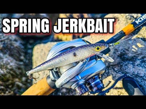 Old School Jerkbaits STILL WORK! (Spring Bank Fishing)