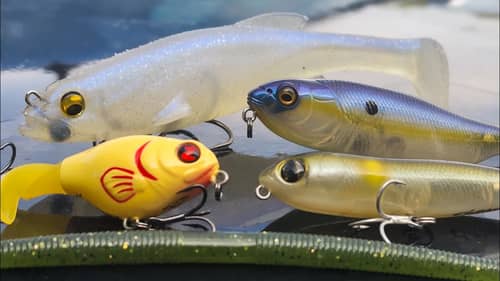 Cheap Lures That Actually Work! Save Money and Catch Fish!! 