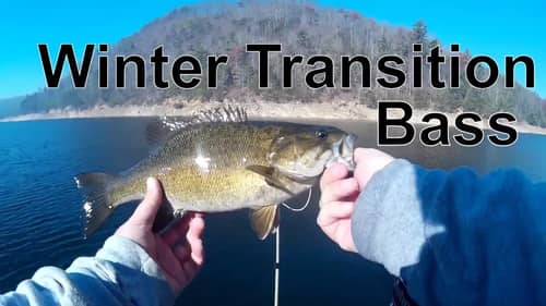 Fall to Winter Transition Bass Fishing