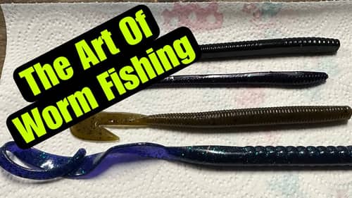 The Forgotten ABC’s Of Plastic Worm Fishing For Bass…
