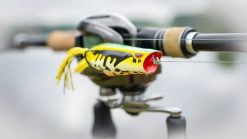 Top 4 Baits For Summer Pond Fishing + Bank Fishing Tricks!