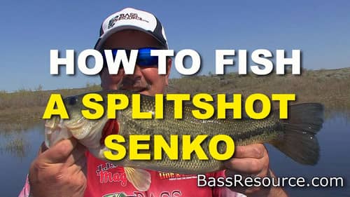 How To Fish A Split Shot Senko | Bass Fishing