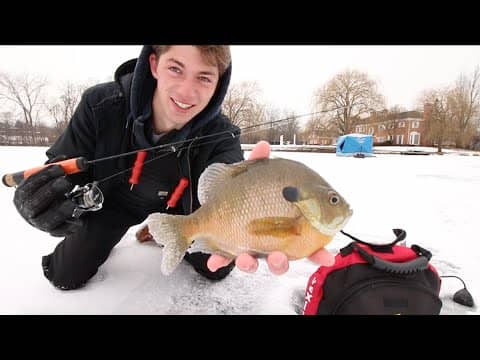 Jigging for Gills & Crappie -- A Day On The Ice.