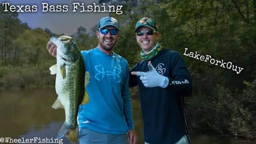 Sight Fishing with LakeForkGuy for Big Bass in Dirty Water