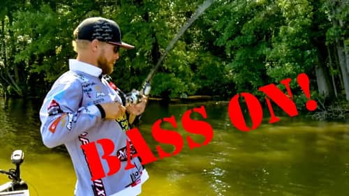 MONSTER Bass Lurk in Shallow Water Cover - Want to Catch Them?!?