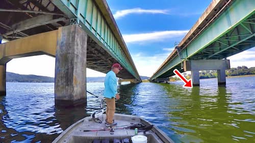 Using Live Bait For MEAN Deep Water Bridge Fish