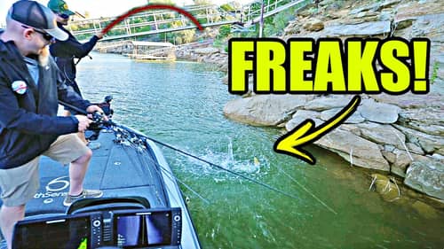Searching for the FISH OF A LIFETIME 20+ Hours From Home!! (Lake Hopping)