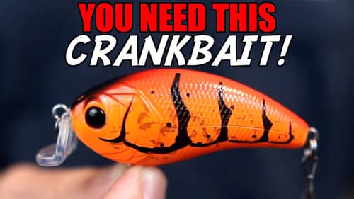 Why is EVERYONE Talking About This NEW Crankbait?!
