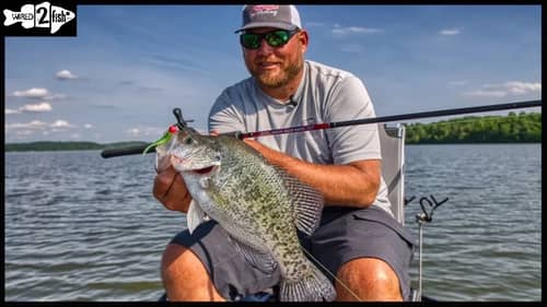 Crappie Fishing Late Spring Early Summer Transition