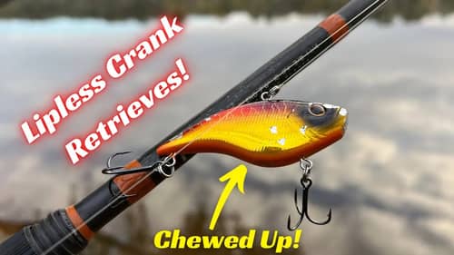 Give These Lipless Crankbait Retrieves A Try!