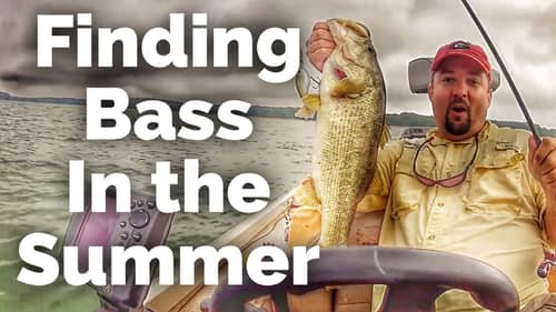 How to Locate Bass in the Summer