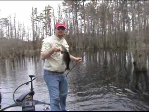 Topwater Spro Frog in cold water