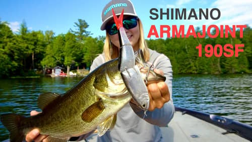 NEW Shimano ARMAJOINT Swimbait Review! (Underwater Footage)