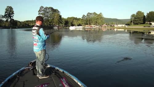 Find Transition Grasslines for Fall Bass