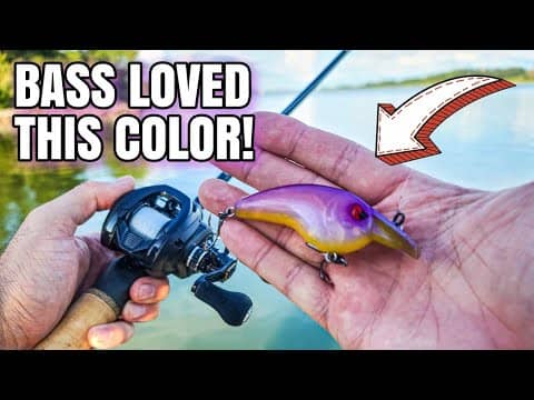 This CATCHES Late Summer Bass (EASY Pattern for Bass)