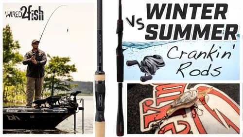 BUYER'S GUIDE: Ultra High End Rod And Reel Combos! The BEST