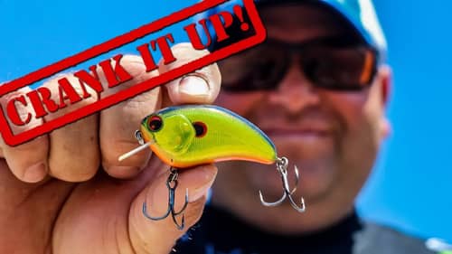 How to Fish Shallow Crankbaits for Big Bass