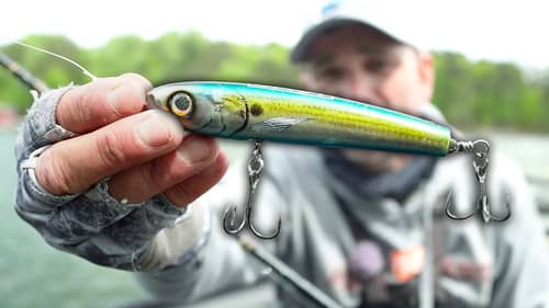 This Topwater Bait BREAKS Every RULE in Fishing and Still Catches Giant Bass