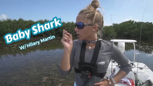 Super Shallow Shark Fishing with Hilary Martin