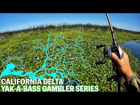 Yak-a-Bass Gambler Series #5 - The California Delta