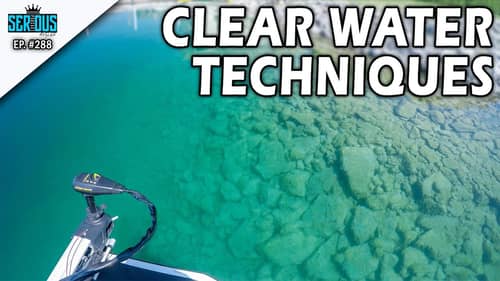 Top Baits for Clear Water in the Southwest and Northeast
