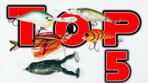 Top 5 Baits For September Bass Fishing!
