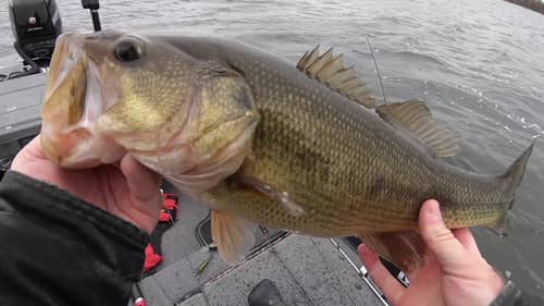 End of Fall Brutally COLD Bass Fishing with Casey Ehlert of Bass Brawl Outdoors