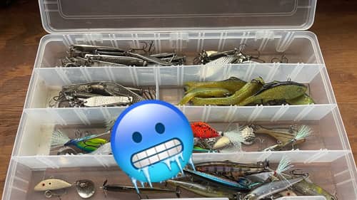 Take A Peek Into My Cold Water Tacklebox