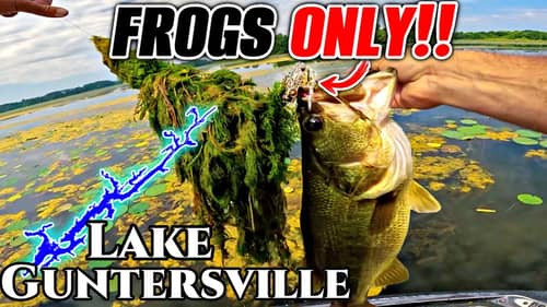Fishing ONLY Topwater Frogs for a Day!