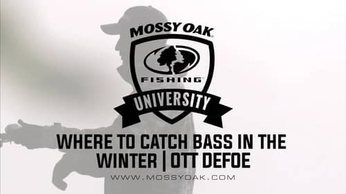 Where to Catch Bass in the Winter   Ott DeFoe Fishing Tips