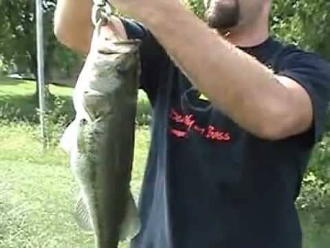 4 lb Bass on Booyah 1/4 oz Buzz Bait tipped with Stanley Ribbit Frog
