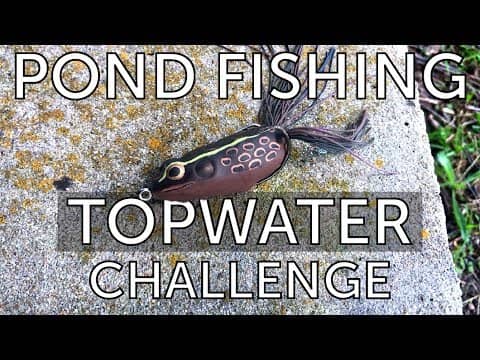 Pond Bass Fishing Topwater CHALLENGE ! (Bank Fishing)
