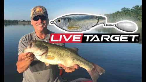 LIVETARGET Commotion Shad Review & Catching Big Bass!
