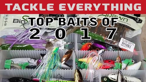 THE TOP BAITS OF 2017