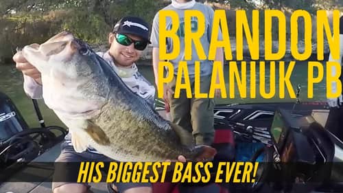 Brandon Palaniuk's Personal Best Largemouth Bass Swimbait Fish