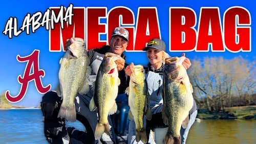 My BIGGEST BAG EVER! - Quest for My PERSONAL BEST BASS (Episode 3)