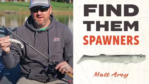 Top Spring Tips for Finding Spawning Bass | April Swimbait Fishing Secrets