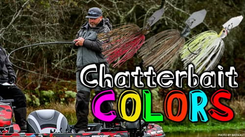 The Best Chatterbait Setup for BIG Bass Fishing
