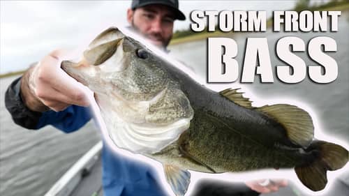Search Best%20small%20bass%20boat%20for%20the%20money Fishing Videos on
